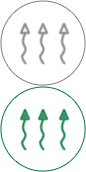 zoty中欧永久性吸湿排汗