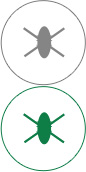 zoty中欧高效抗菌