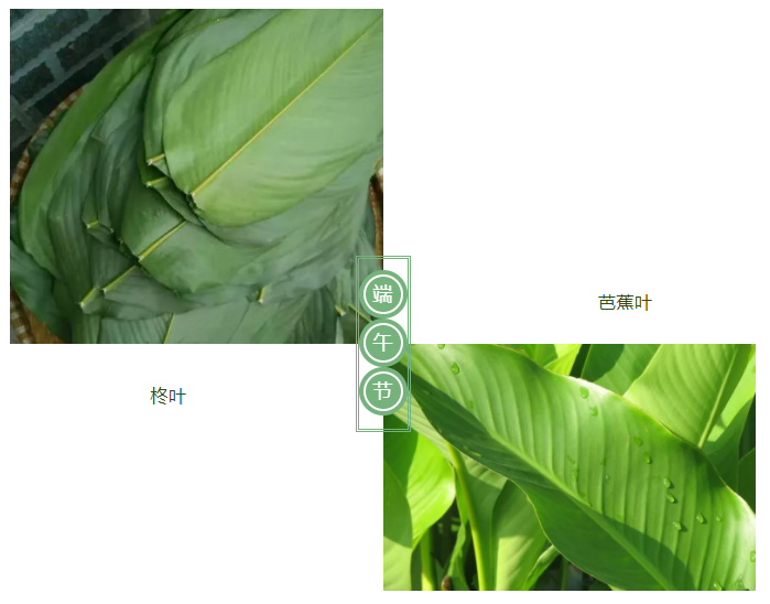 zoty中欧医纺