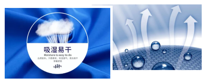 zoty中欧医纺