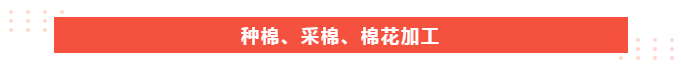 zoty中欧医纺