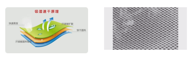 zoty中欧医用纺织