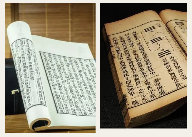 zoty中欧医纺